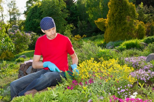 Tools and equipment for effective hedge trimming in Bethnal Green