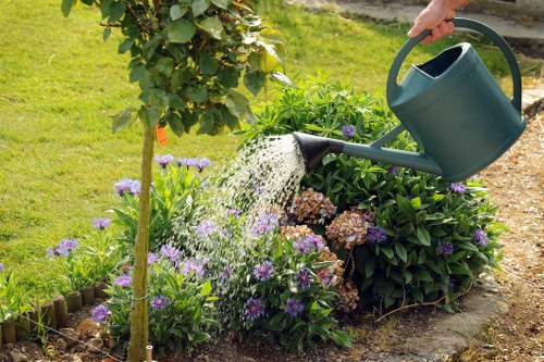 Choosing the right garden clearance service