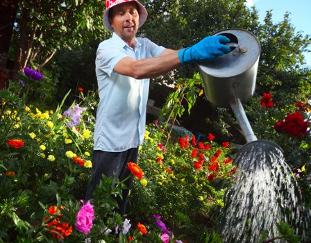 A man wearing a white shirt, red hat, and blue gardening gloves is standing in a vibrant garden during daylight, watering a variety of flowering plants and shrubs with a black watering can. The garden features a lush green lawn in the foreground, edged with flower beds filled with colorful blooms in shades of red, pink, yellow, and purple, alongside well-maintained hedges and small trees. The background shows a mix of taller trees and clear blue sky, contributing to an outdoor environment suitable for landscaping and garden care. The scene is well-lit with natural sunlight, enhancing the natural tones of the foliage and flowers, illustrating typical features of a landscaped outdoor space that could benefit from professional gardening and outdoor maintenance services in Bethnal Green.