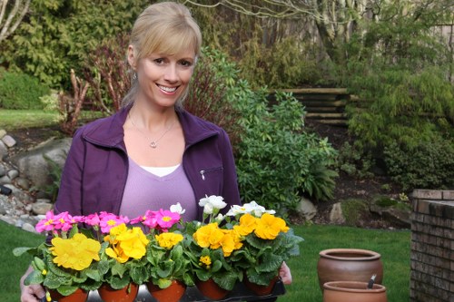 A woman with blonde hair, wearing a purple jacket over a white top, is standing in a garden holding a tray of potted flowering plants in bright pink, yellow, and white colours. Behind her, there is lush green foliage, including shrubs and trees, with a stone pathway and wooden steps leading up a landscaped area. To the right, there are empty terracotta pots on the grass. The garden features a well-maintained lawn with dense greenery and a natural outdoor setting, suggesting regular gardening and outdoor maintenance services. The weather appears mild with natural light illuminating the scene. This setting aligns with outdoor garden care and landscaping activities typical in Bethnal Green.